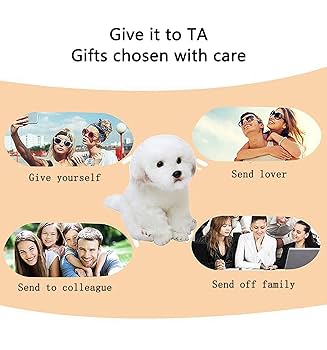 Amazon.co.jp: マルチーズ犬のぬいぐるみのシミュレーション